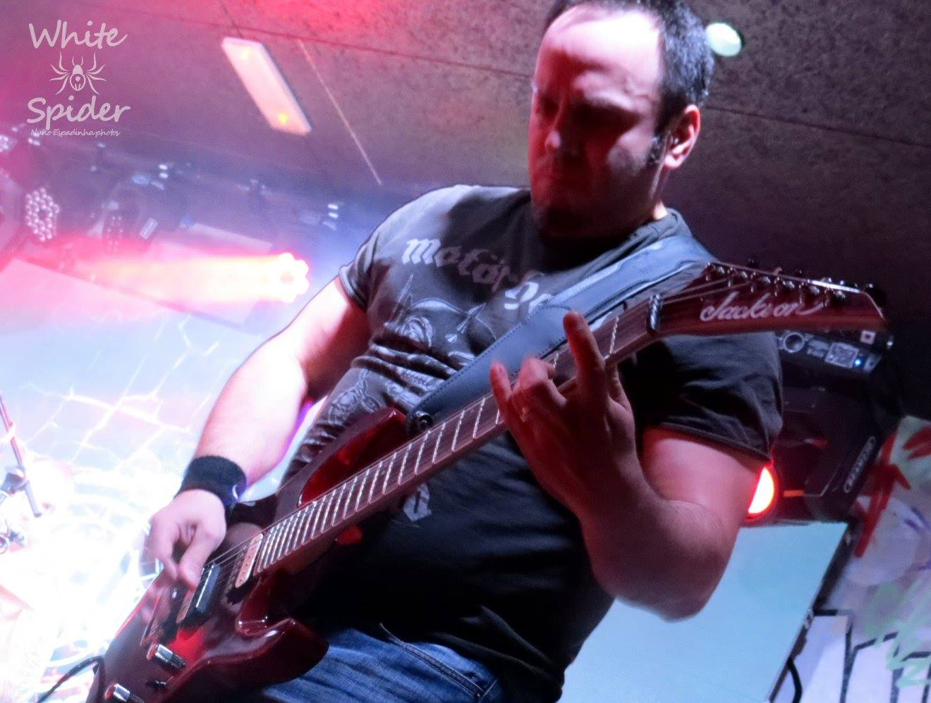 Phidion live 2019