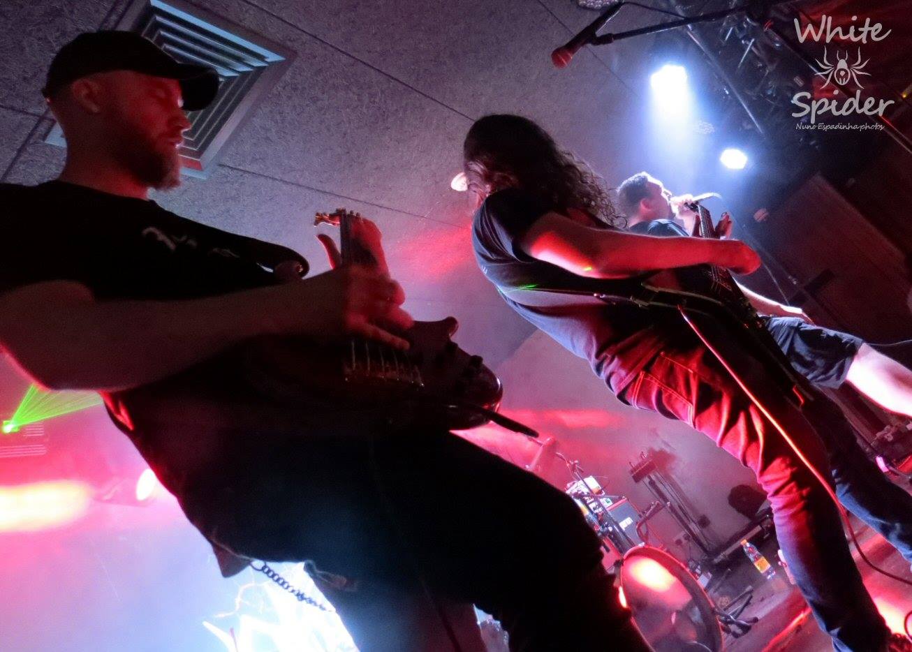 Phidion live 2019